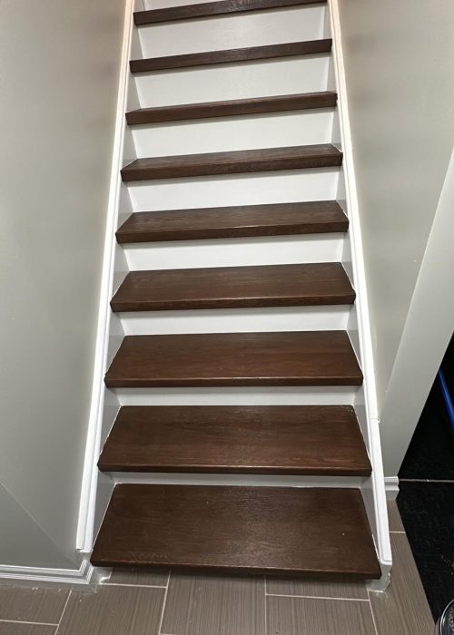 WhatsApp Image 2026-02-02 at 10.10.06 PM